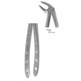 Tooth Extracting Forceps
